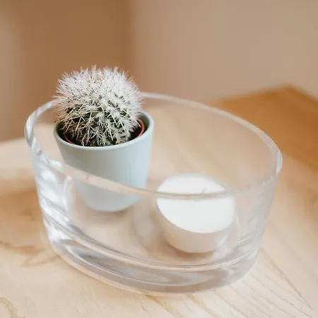 Islow Coliving Bed & Breakfast Laxe