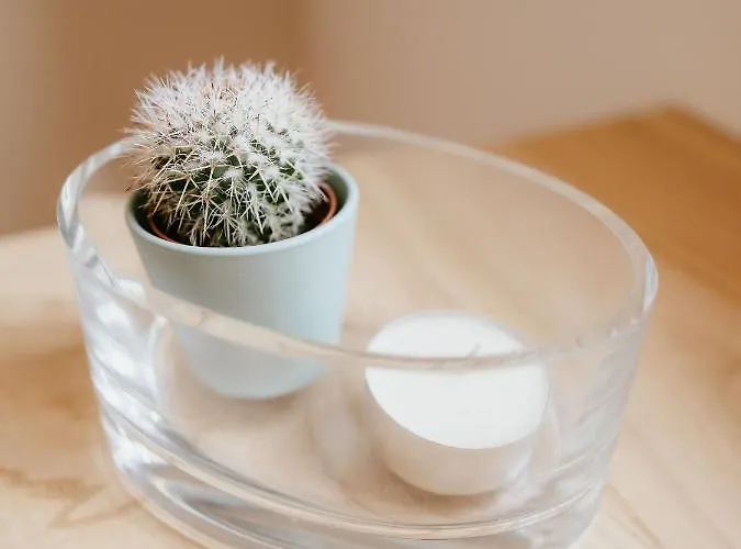 Islow Costa Da Morte Nocleg ze śniadaniem Laxe